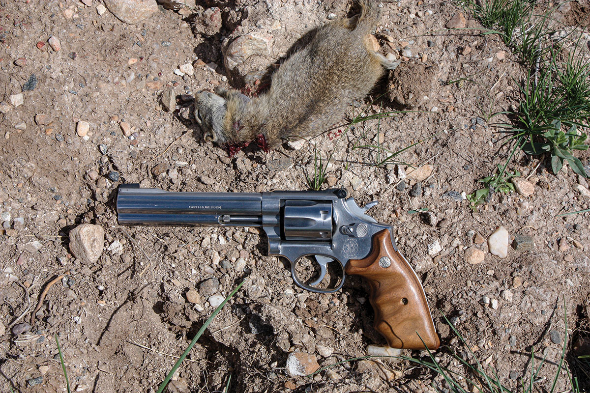 Here is verification of Dick’s 22 Magnum Smith & Wesson’s capabilities in the field.